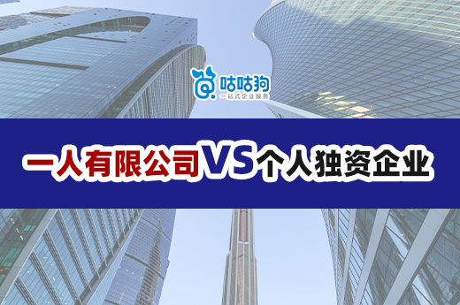 8大差异详解！全面理解一人有限公司与个人独资企业的区别 -咕咕狗